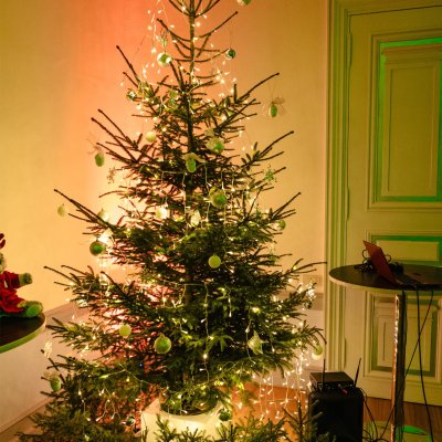 img_5139.jpg